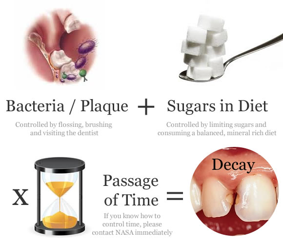 bacteria sugar