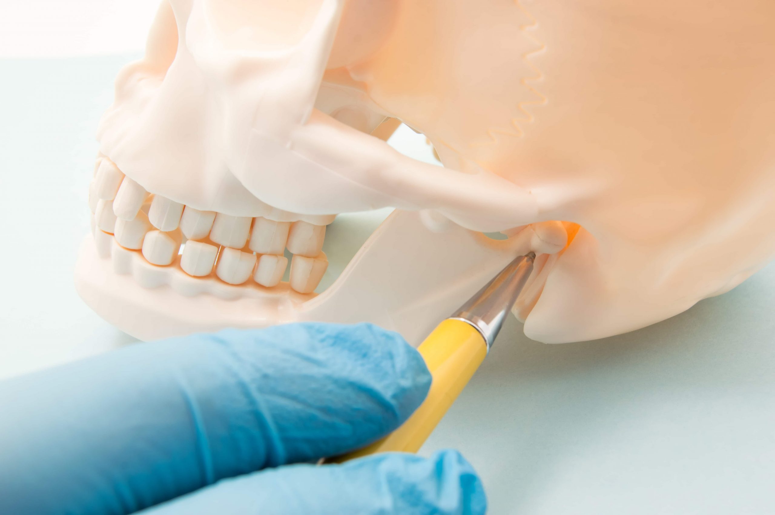 temporomandibular joint